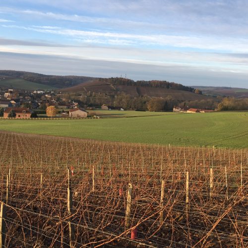 vue de Bragelogne depuis les vignes du domaine